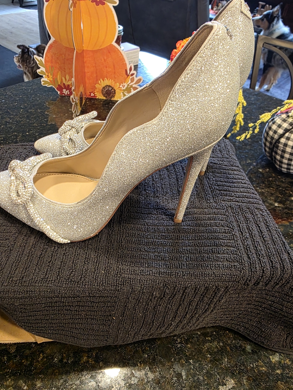 Sam Edelman Silver Glitter Stiletto Pumps with Bow